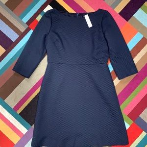 NWT JCrew fit and flare navy dress 14